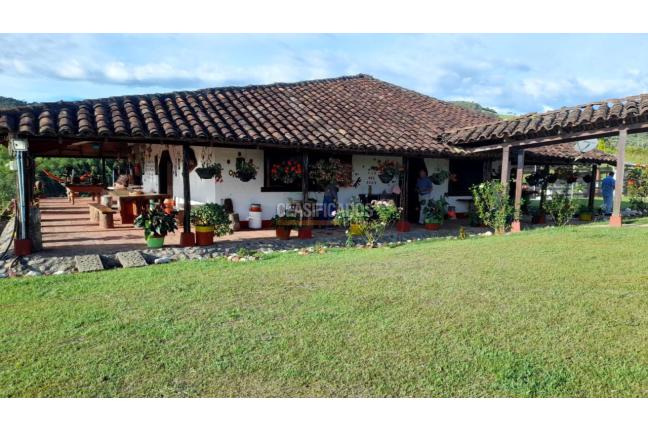 Fincas y Casas Campestres, Venta en Calima (Darién)