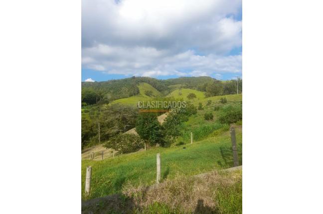Fincas y Casas Campestres, Venta, Calima (Darién) - $1.200.000.000