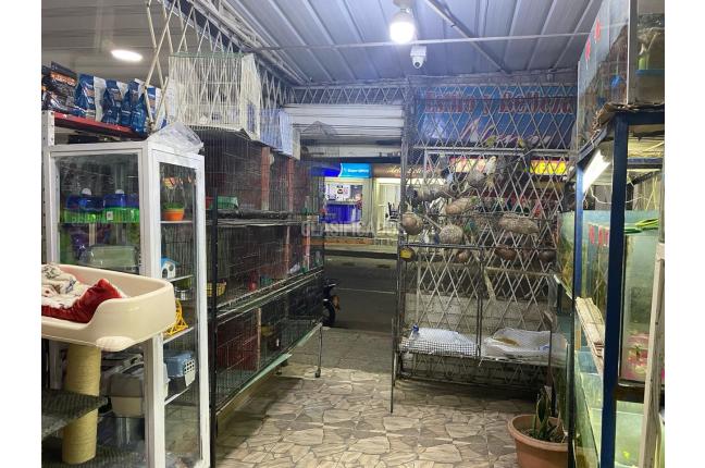 Oficinas y Consultorios, Venta, Alcázares - $75.000.000