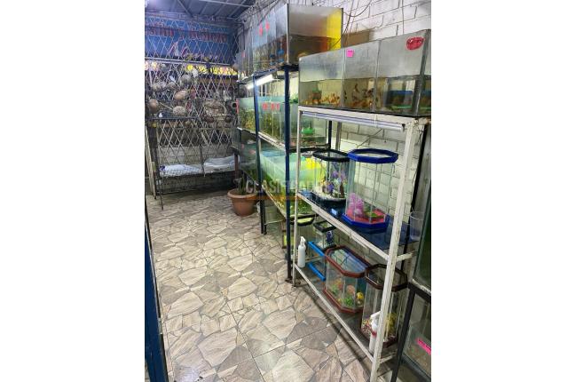 Oficinas y Consultorios, Venta, Alcázares - $75.000.000