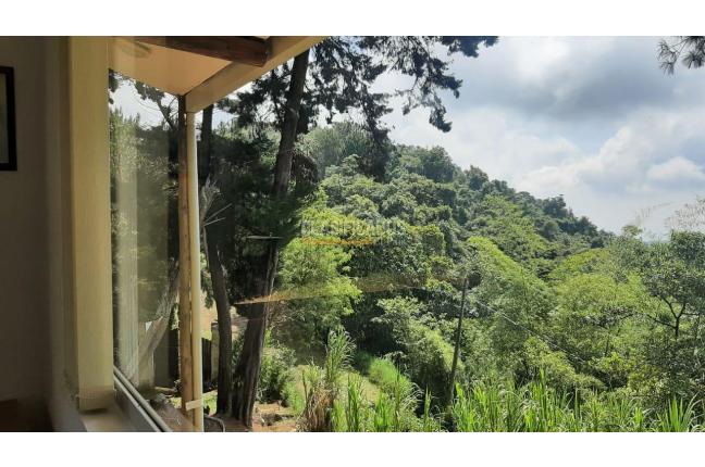 Fincas y Casas Campestres, Venta, La Castilla - $1.200.000.000