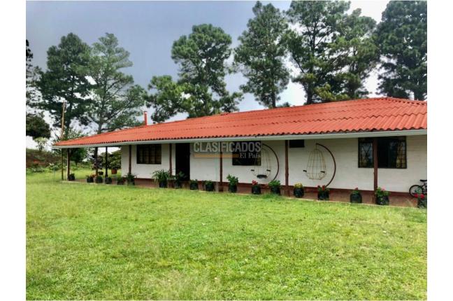 Fincas y Casas Campestres, Venta en La Castilla