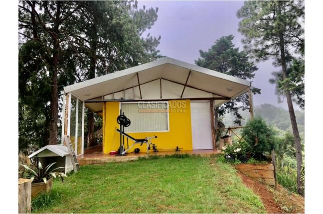 Fincas y Casas Campestres, Venta, La Castilla - $1.200.000.000