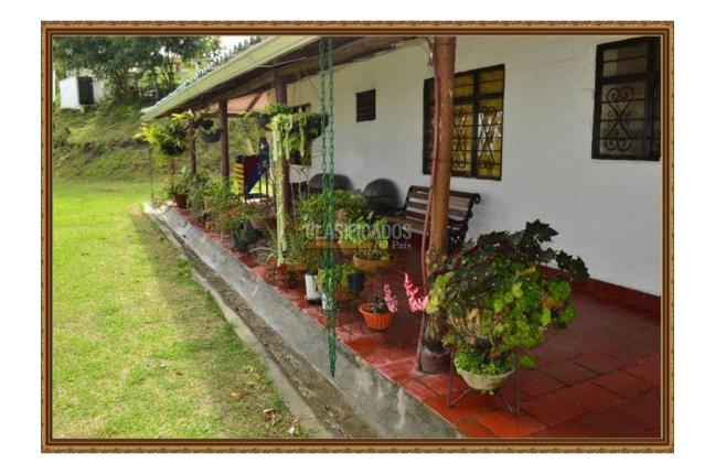 Fincas y Casas Campestres, Venta, La Castilla - $1.200.000.000