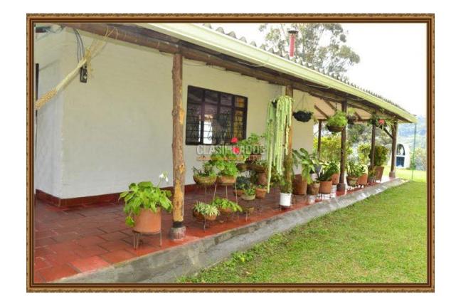 Fincas y Casas Campestres, Venta, La Castilla - $1.200.000.000