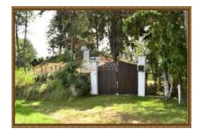Fincas y Casas Campestres, Venta, La Castilla - $1.200.000.000
