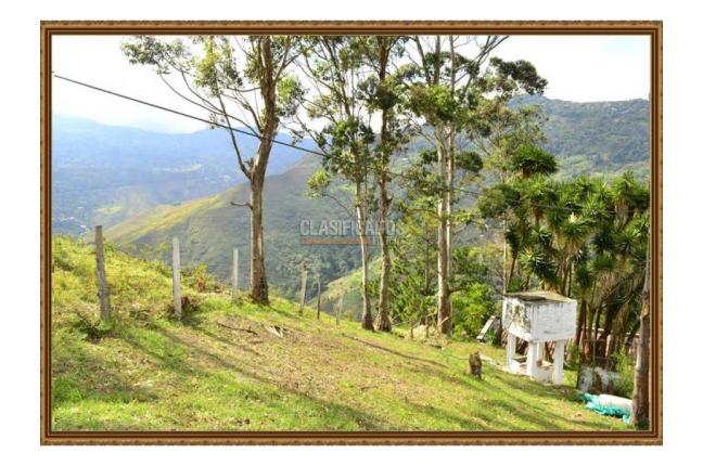 Fincas y Casas Campestres, Venta, La Castilla - $1.200.000.000