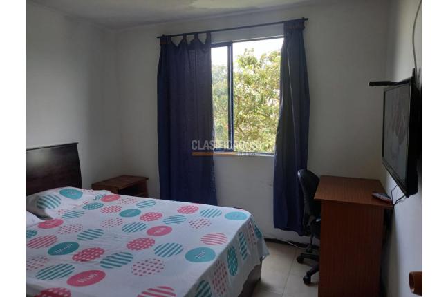 Habitaciones, Alquiler en La Selva