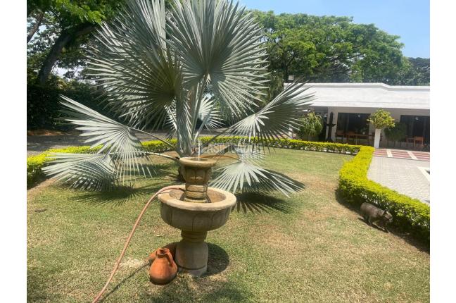 Fincas y Casas Campestres, Venta en Palmira