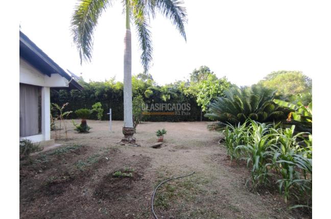 Casas, Alquiler, Pance - $15.000.000