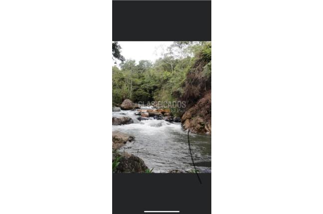 Lotes, Venta, La Reforma - $190.000.000