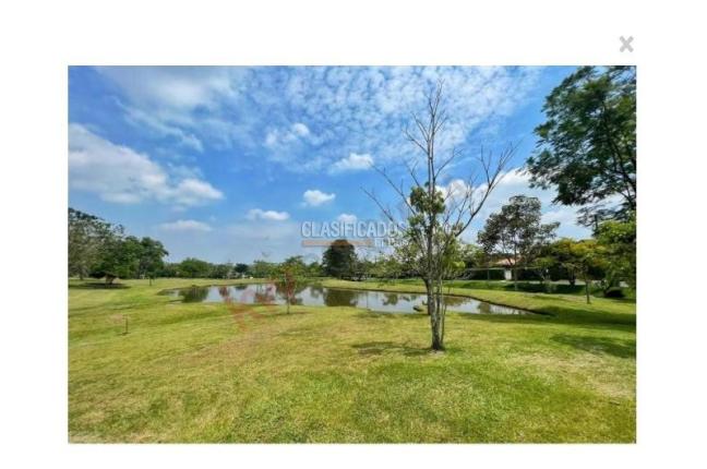 Lotes, Venta en Alfaguara