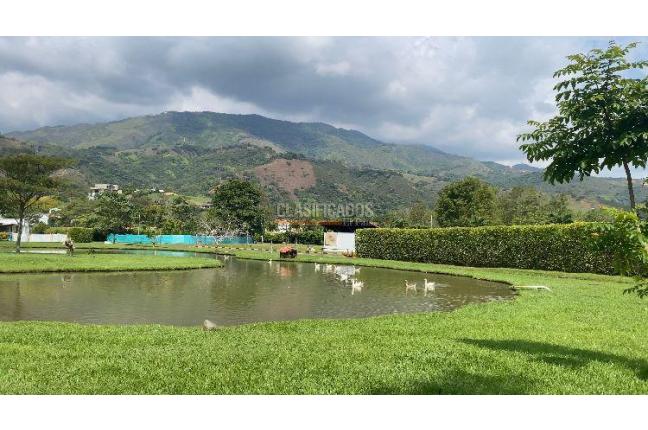 Lotes, Venta en Alfaguara