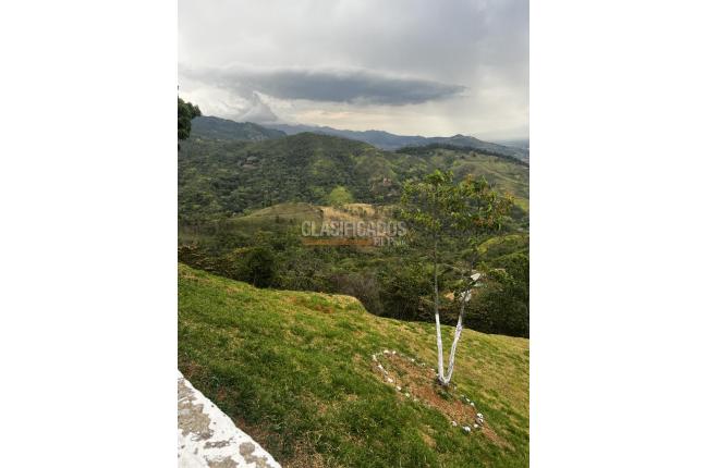 Fincas y Casas Campestres, Venta, La Reforma - $600.000.000