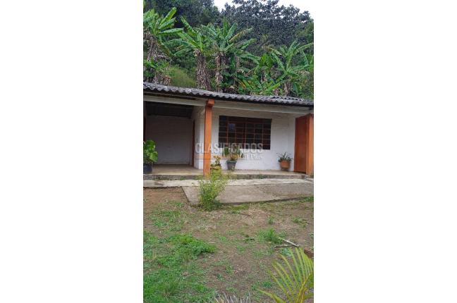 Fincas y Casas Campestres, Venta, La Elvira - $290.000.000
