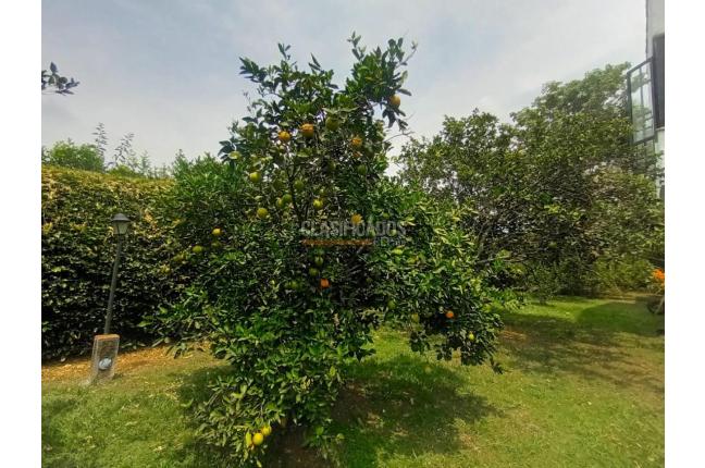 Casas, Alquiler, Jamundí - $4.800.000