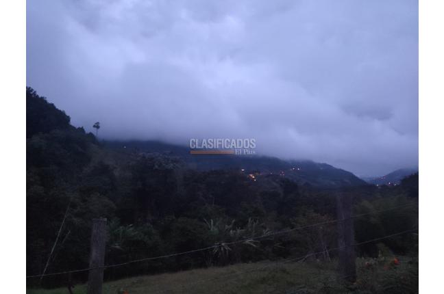 Fincas y Casas Campestres, Venta, La Elvira - $500.000.000