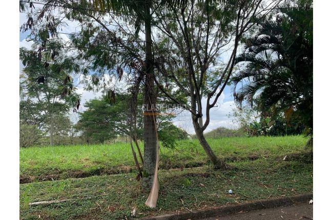 Lotes, Venta, La Riverita - $1.250.000.000