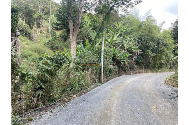 Fincas y Casas Campestres, Venta, La Elvira - $290.000.000