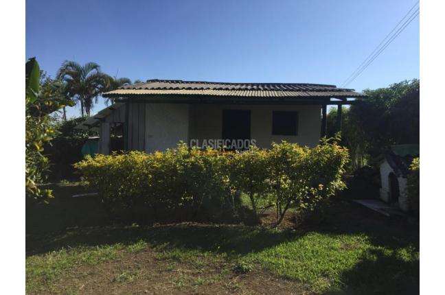 Fincas y Casas Campestres, Venta, Calima (Darién) - $1.200.000.000