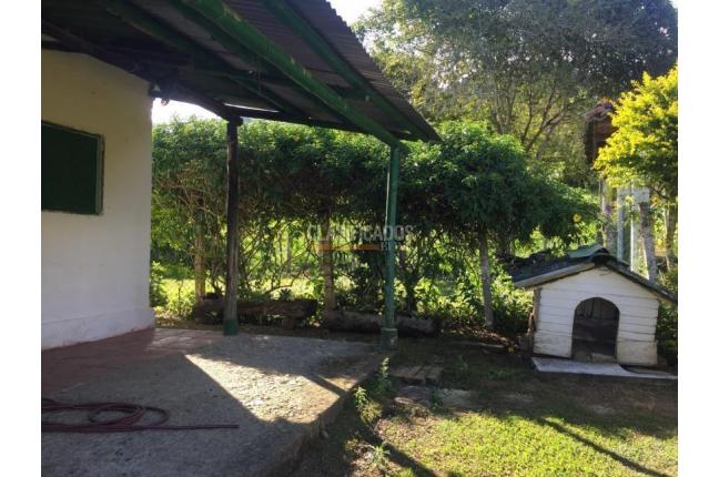 Fincas y Casas Campestres, Venta, Calima (Darién) - $1.200.000.000