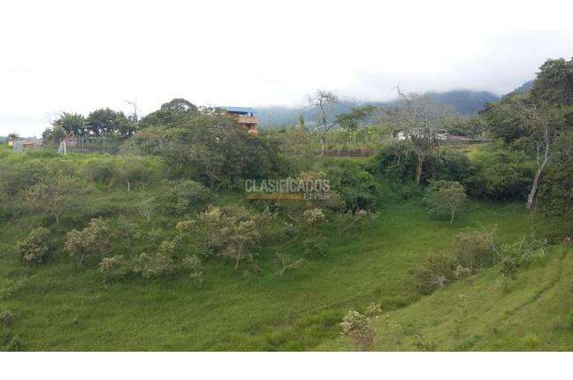 Fincas y Casas Campestres, Venta, Calima (Darién) - $450.000.000