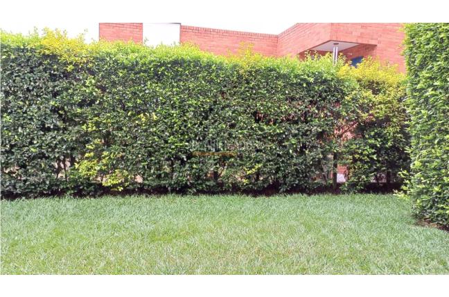 Casas, Venta, Casas del Alférez