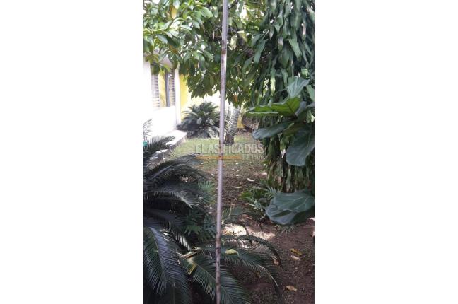 Lotes, Venta, Arboleda - $2.336.000.000