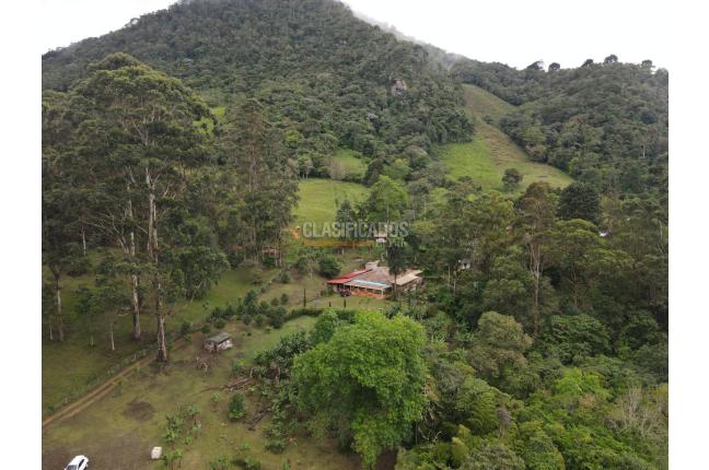 Fincas y Casas Campestres, Venta, Dapa - $2.200.000.000