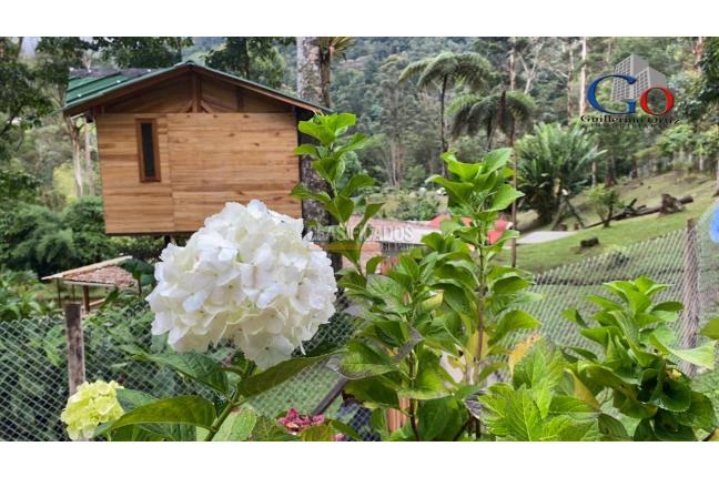 Fincas y Casas Campestres, Venta, Dapa - $2.200.000.000