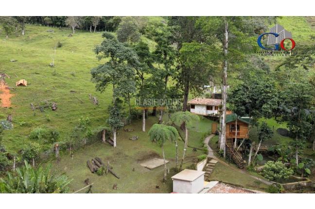 Fincas y Casas Campestres, Venta, Dapa - $2.200.000.000