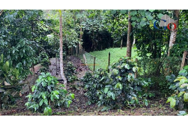 Fincas y Casas Campestres, Venta, Dapa - $2.200.000.000