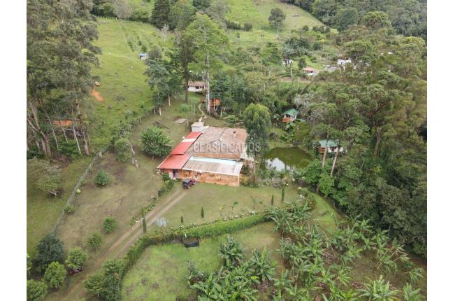 Fincas y Casas Campestres, Venta en Dapa