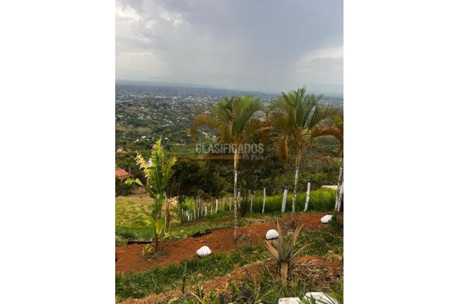 Lotes, Venta en La Reforma