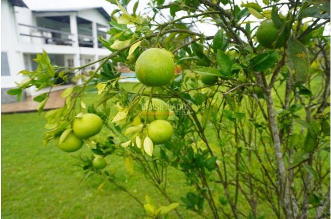 Apartaestudios, Alquiler, Calima (Darién) - $950.000