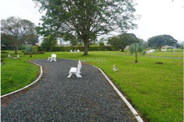 Apartaestudios, Alquiler, Calima (Darién) - $950.000