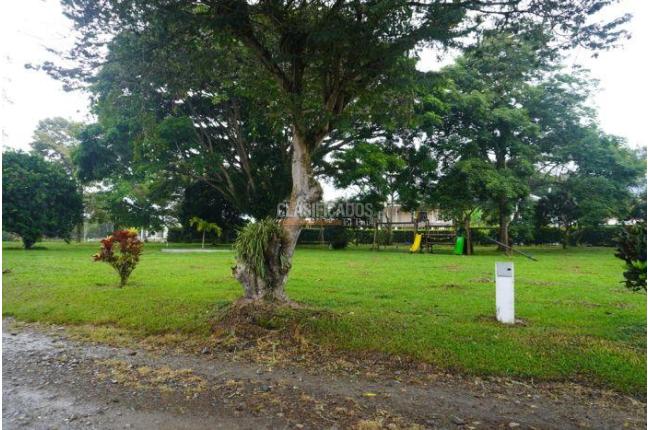 Apartaestudios, Alquiler, Calima (Darién) - $950.000