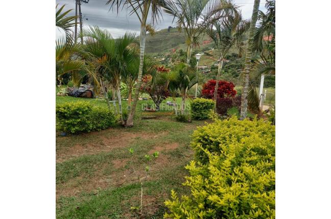 Fincas y Casas Campestres, Venta, Dagua - $380.000.000