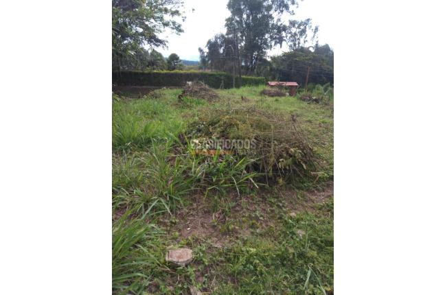 Lotes, Venta, Dagua - $195.000.000