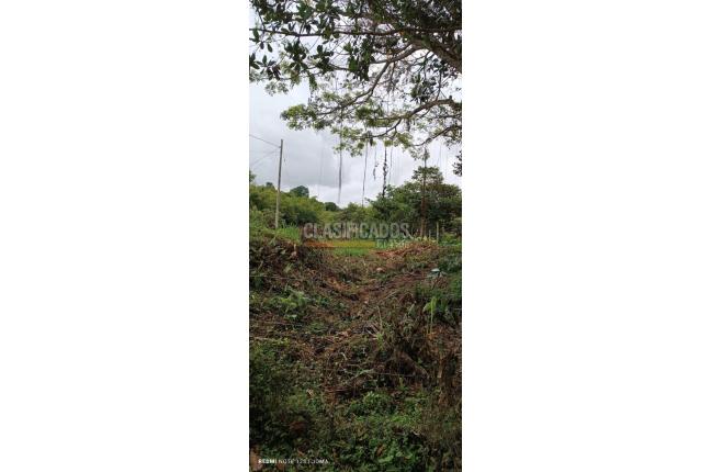 Lotes, Venta, Dagua - $195.000.000
