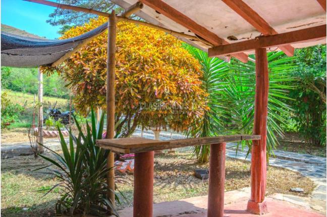 Lotes, Venta en Yotoco