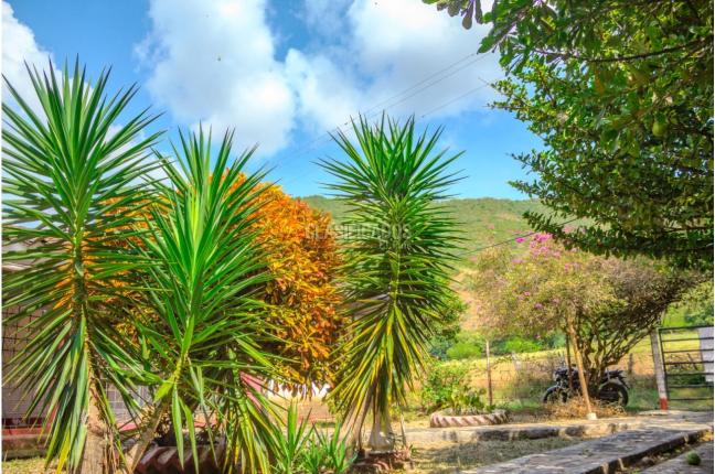 Lotes, Venta, Yotoco - $900.000.000