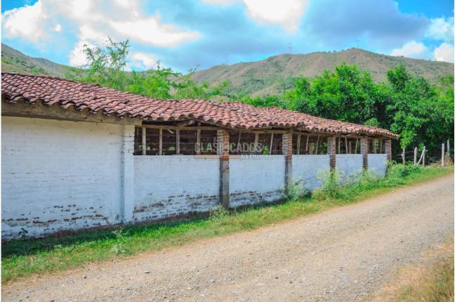 Lotes, Venta, Yotoco - $900.000.000