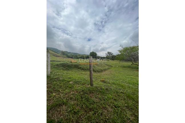 Lotes, Venta en Palmira