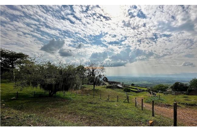 Lotes, Venta en Palmira