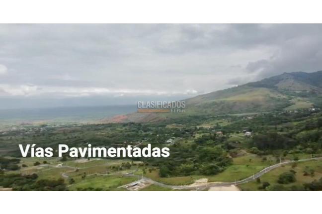 Lotes, Venta en Palmira