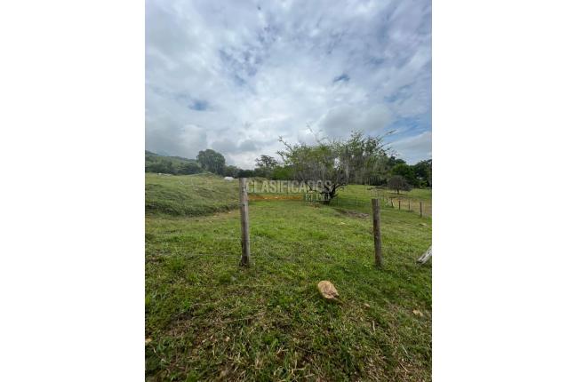 Lotes, Venta, Palmira - $230.000.000