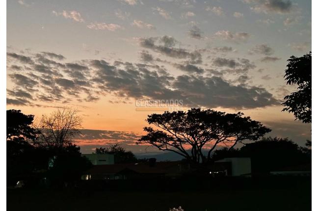 Lotes, Venta, Palmira - $230.000.000