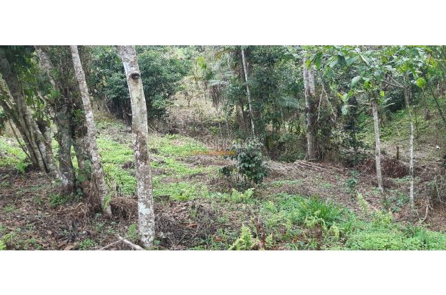 Lotes, Venta, La Cumbre - $190.000.000