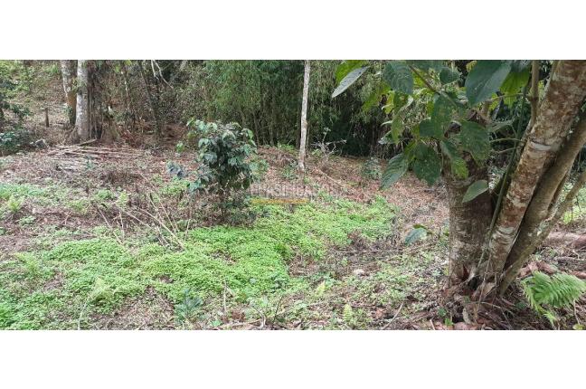 Lotes, Venta, La Cumbre - $190.000.000